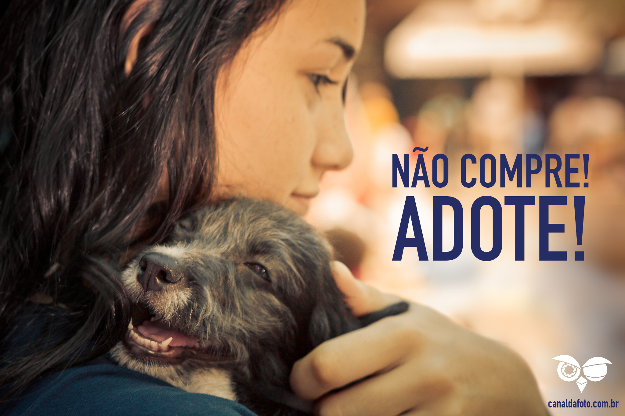 Adoção de cachorro