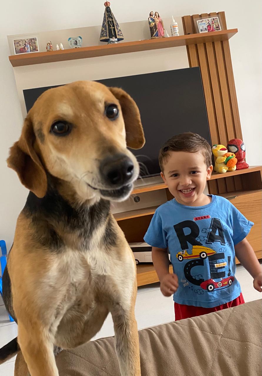 Cachorro feliz após adoção